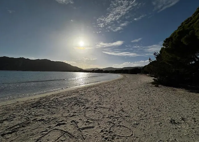 De - Corsica Lecci