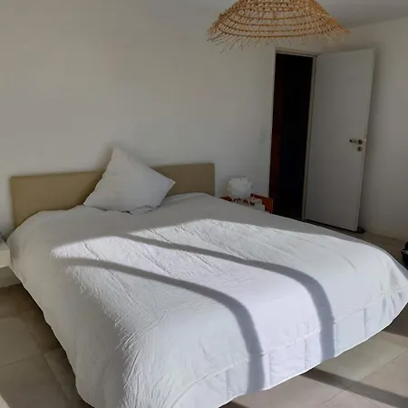 De - Corsica * レクシ