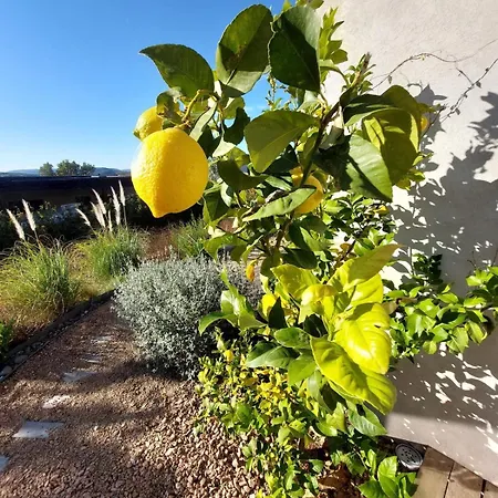 De - Corsica アパート