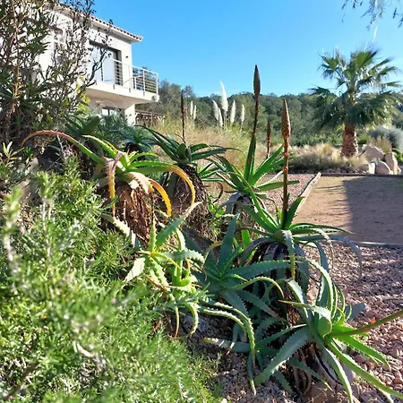 アパート De - Corsica *