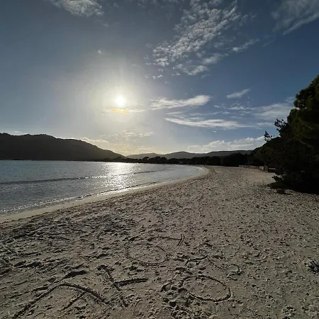 De - Corsica レクシ